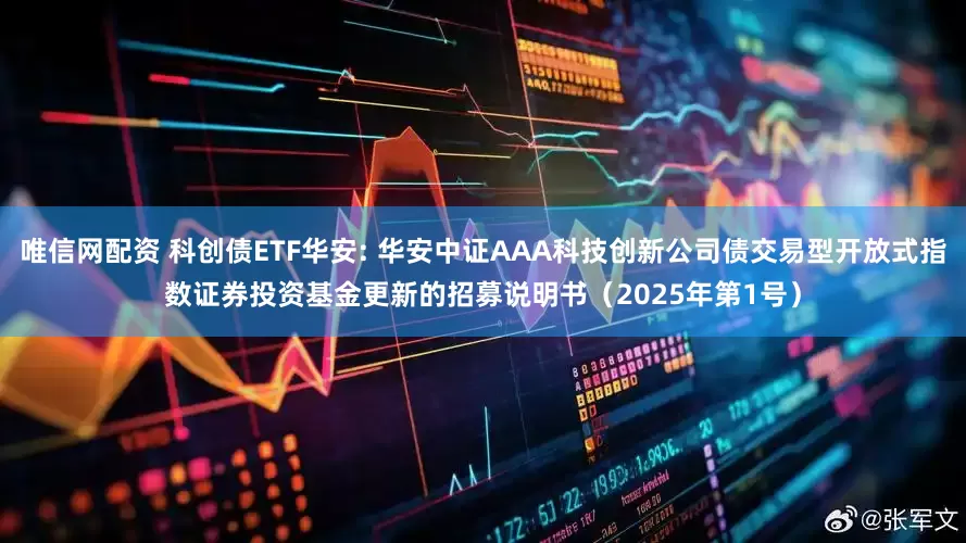 唯信网配资 科创债ETF华安: 华安中证AAA科技创新公司债交易型开放式指数证券投资基金更新的招募说明书（2025年第1号）